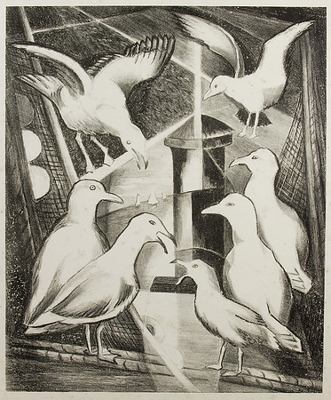 035_SeaGull