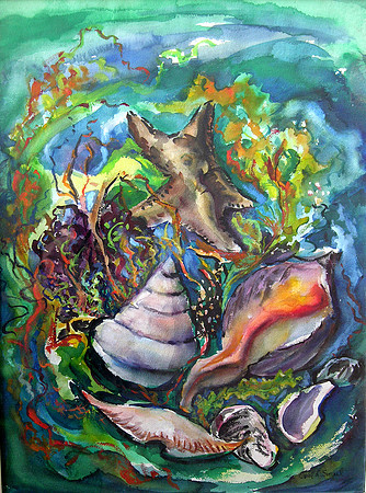 146_Shell