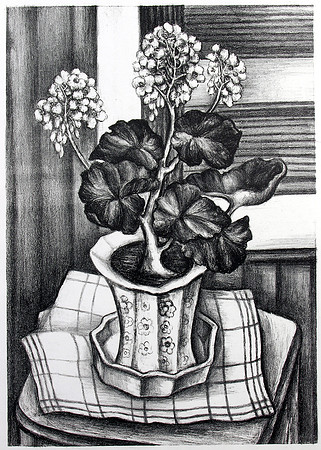 031_Geranium