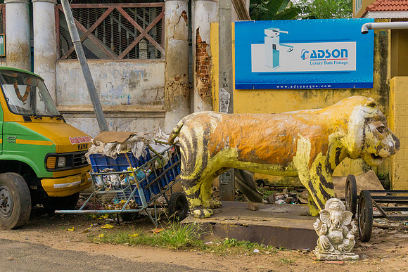 Trivandrum, Kerala, India, 2014.