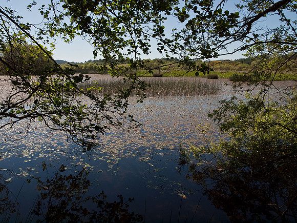Cospeito, Galicia, Spain